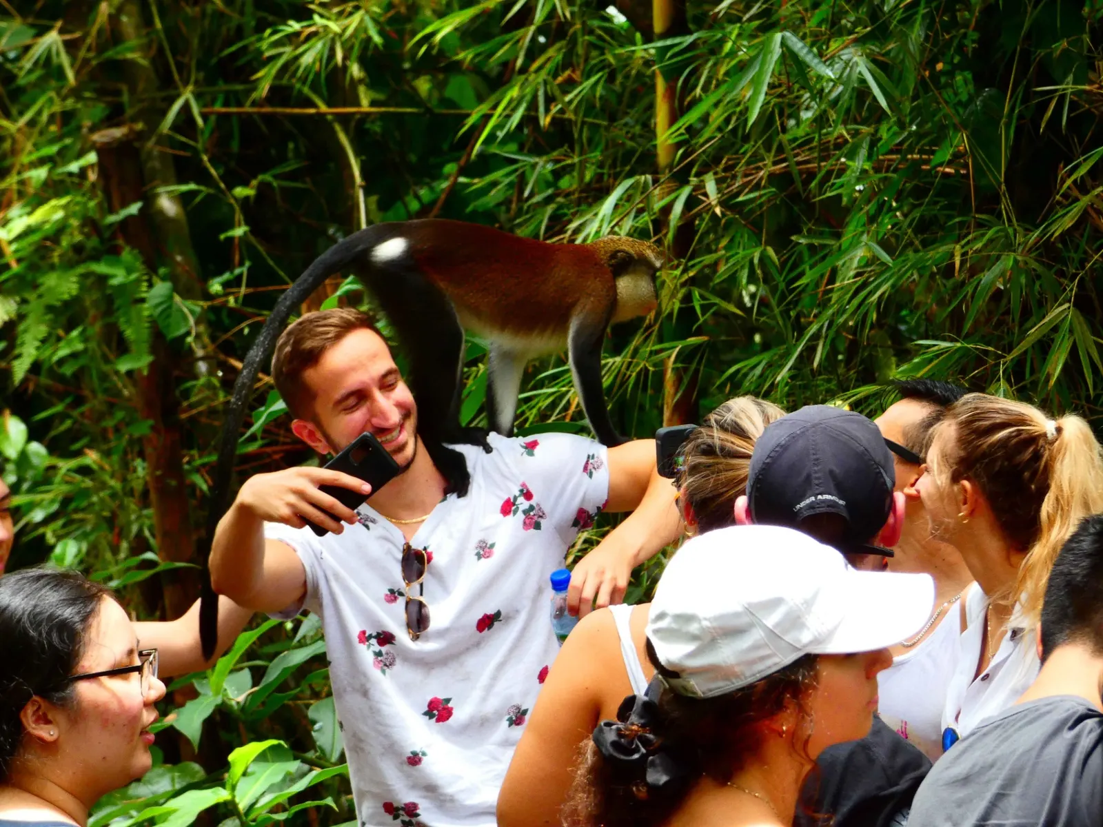Mona Monkey Selfie Moment