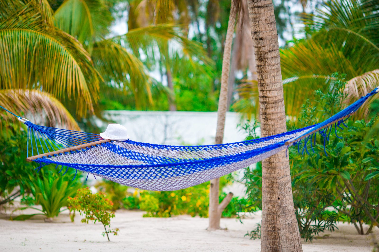 empty hammock between palm trees on tropical beach 2025 02 11 23 39 00 utc 1 scaled